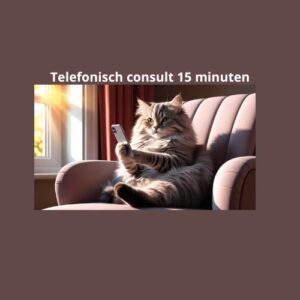 Telefonisch consult 15 minuten