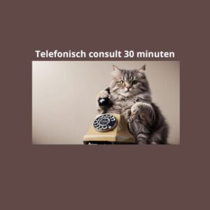 Telefonisch consult 30 minuten